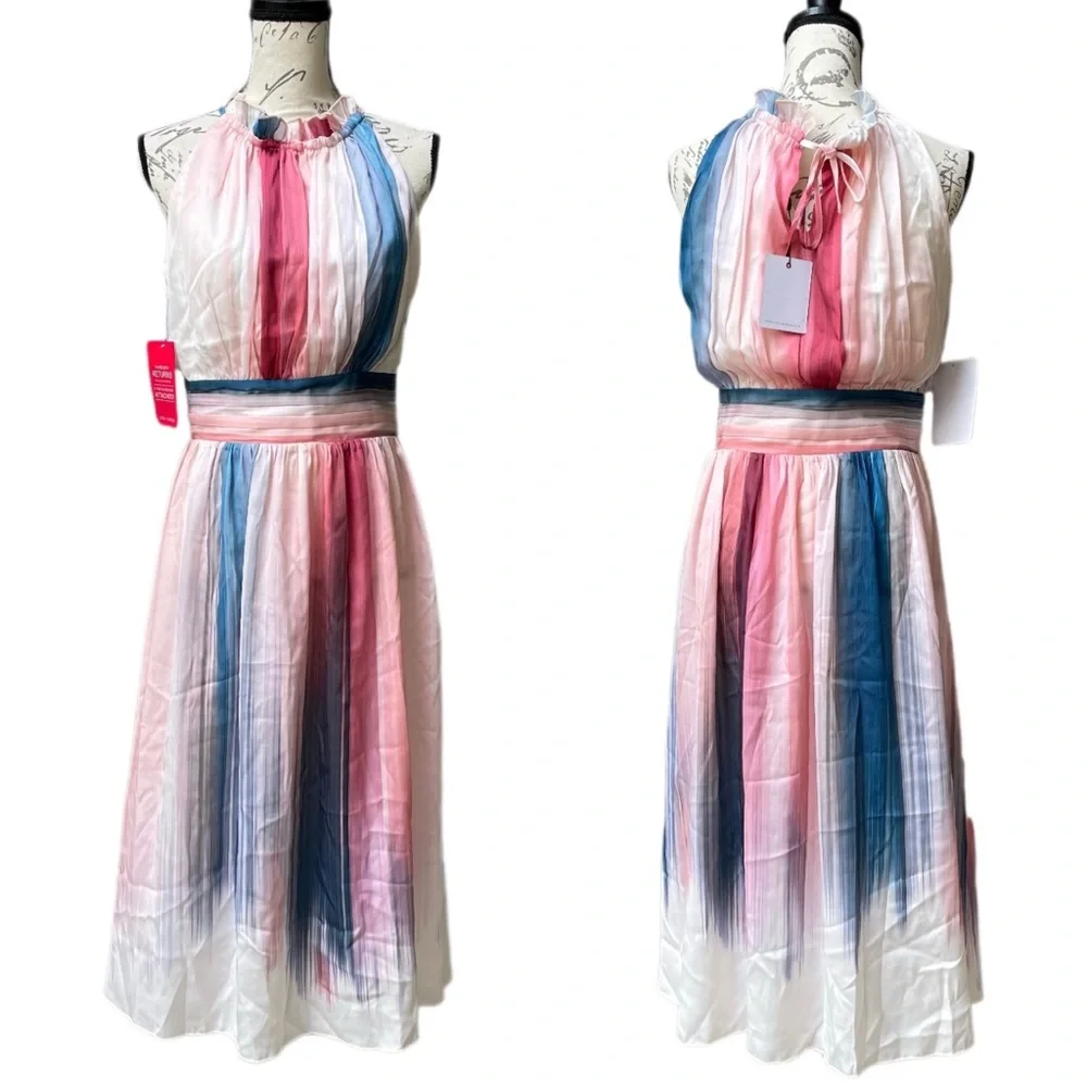 Little Mistress Ombré Stripe Pleated Printed Midi Dress - 6 - Picture 3 of 5